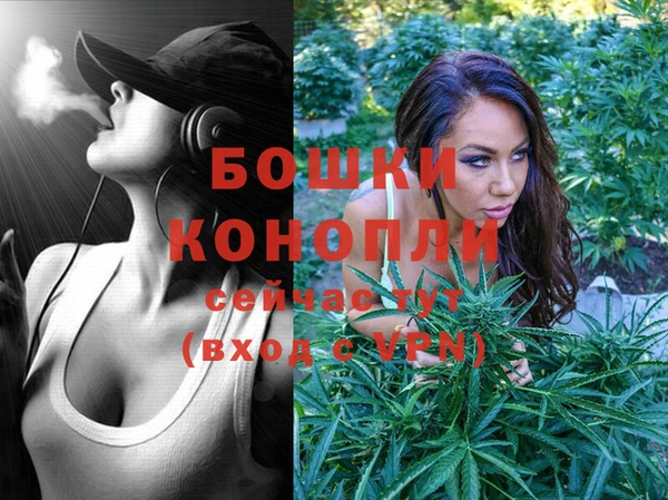 бошки Осинники