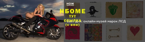 индика Осташков