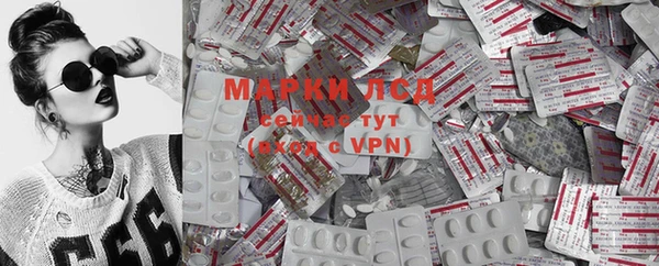 индика Осташков