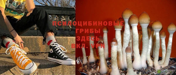 бутират Пересвет