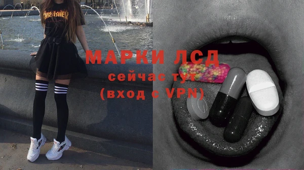 индика Осташков