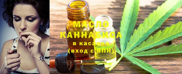 индика Осташков