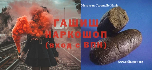 индика Осташков