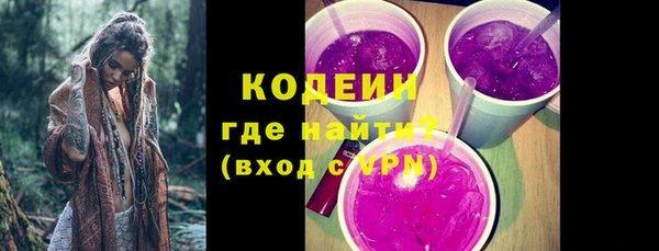 индика Осташков
