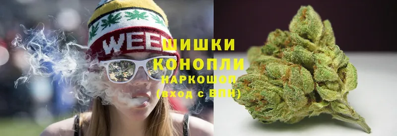 darknet Telegram  Новопавловск  МАРИХУАНА White Widow  как найти закладки 